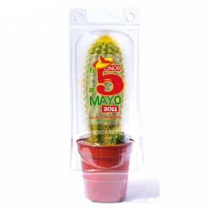 cactus publicitaire en serre plastique