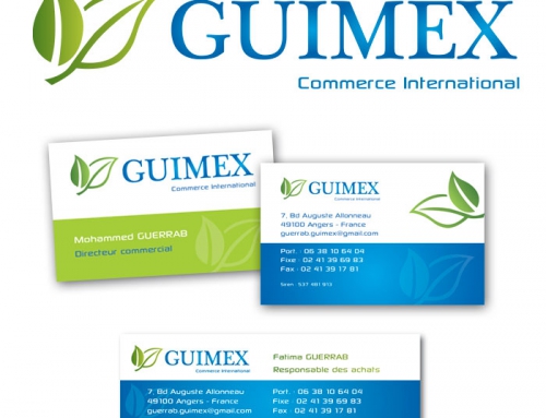 Création charte graphique complète Guimex Commerce International