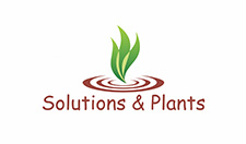 Logo Solutions & Plants