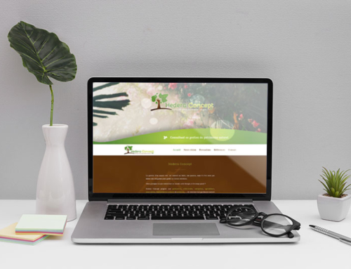 Création site web WordPress Angers – Hedera Concept