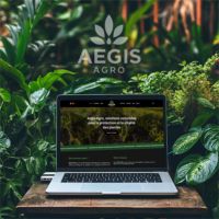 création site internet Wordpress Angers