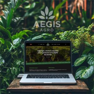 création site internet WordPress Angers