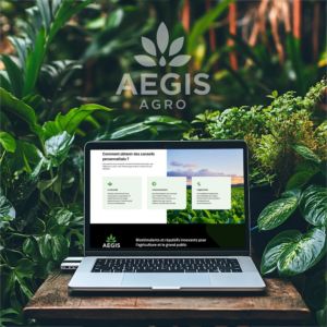 création site internet WordPress Angers